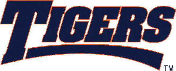 Auburn Tigers 1998-2003 Wordmark Logo DIY iron on transfer (heat transfer)